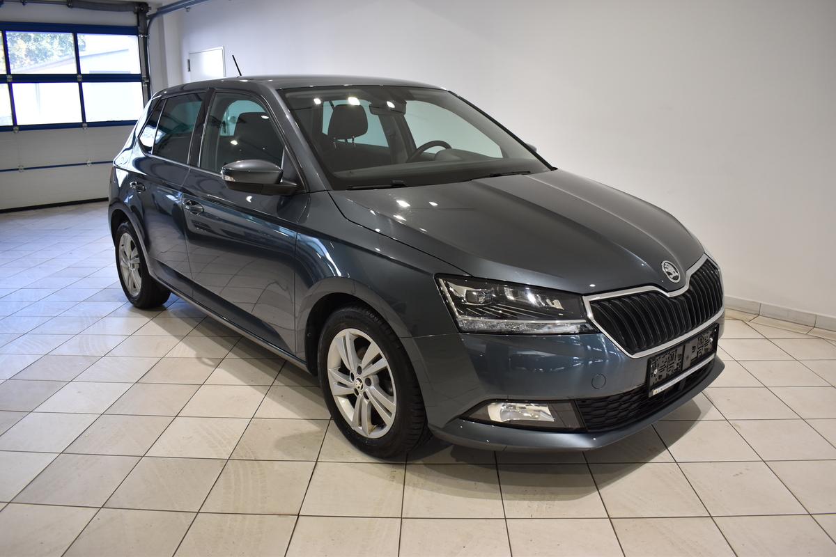 Skoda Fabia 1.0TSI Style LED APP SHZ Kamera